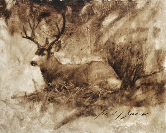 Bedded Buck Gallery Wrap