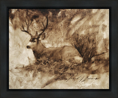 Bedded Buck Gallery Wrap