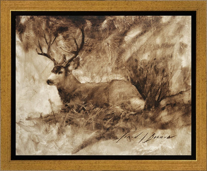 Bedded Buck Gallery Wrap