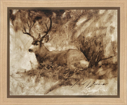 Bedded Buck Gallery Wrap