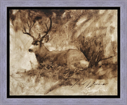 Bedded Buck Gallery Wrap
