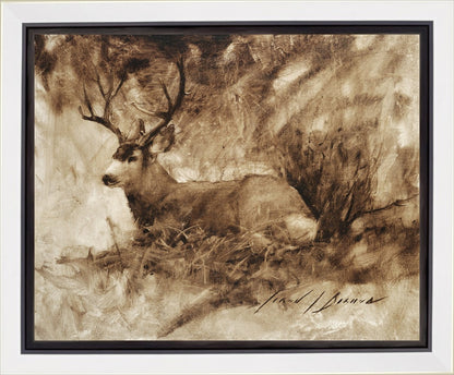 Bedded Buck Gallery Wrap