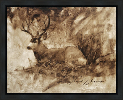 Bedded Buck Gallery Wrap
