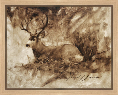 Bedded Buck Gallery Wrap