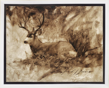 Bedded Buck Gallery Wrap