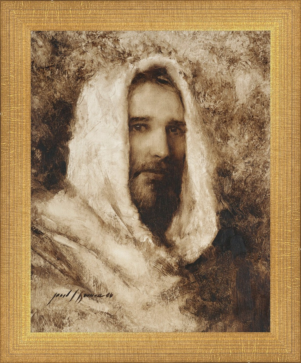 Our Shepherd