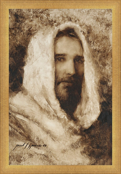 Our Shepherd