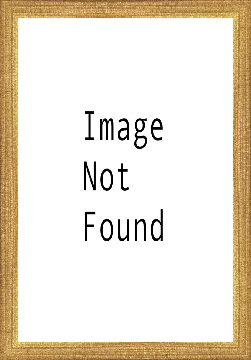 Lawrence Pretended Not to Notice