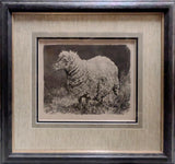 Sheep Original Artwork