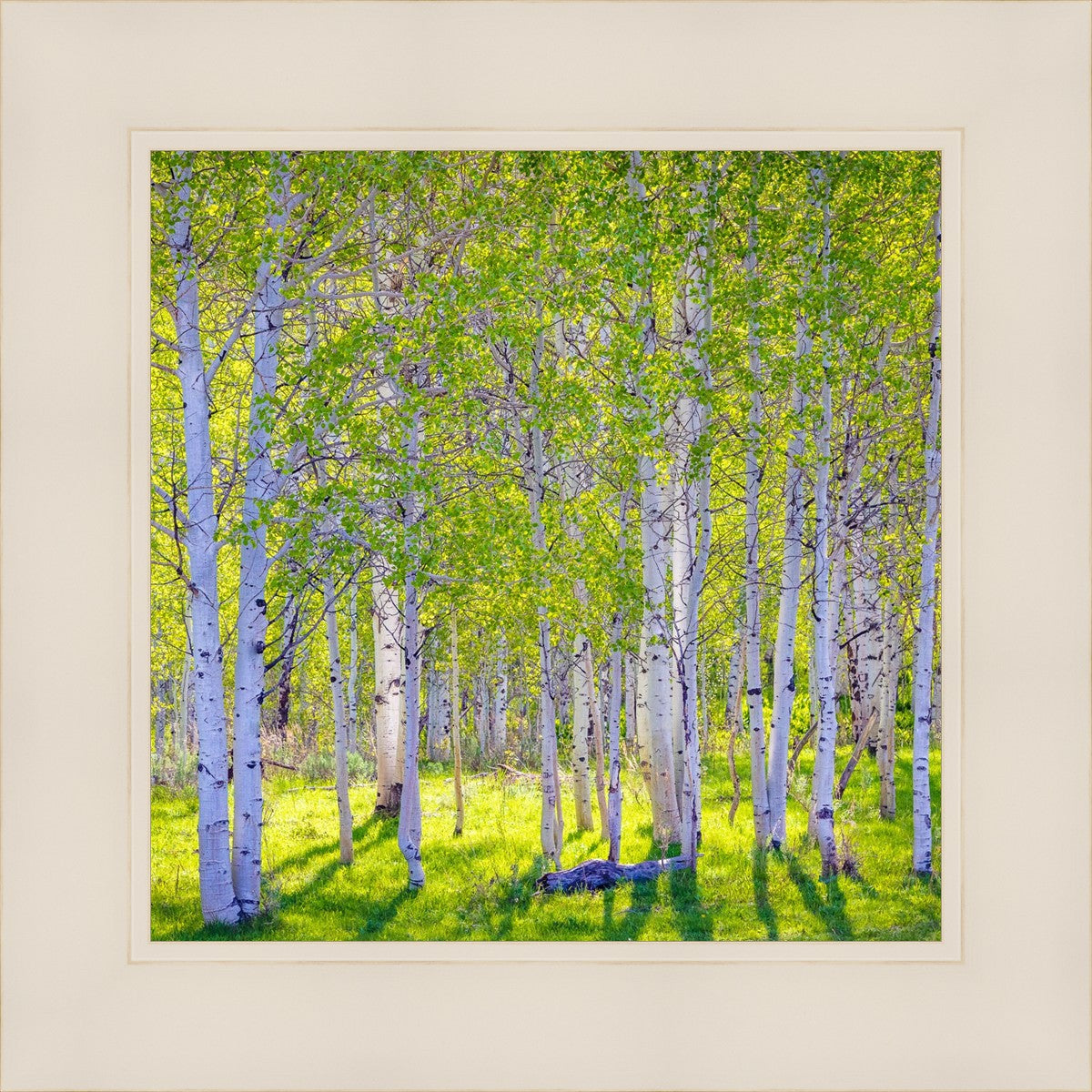 Early Morning Light in the Wasatch Backcountry