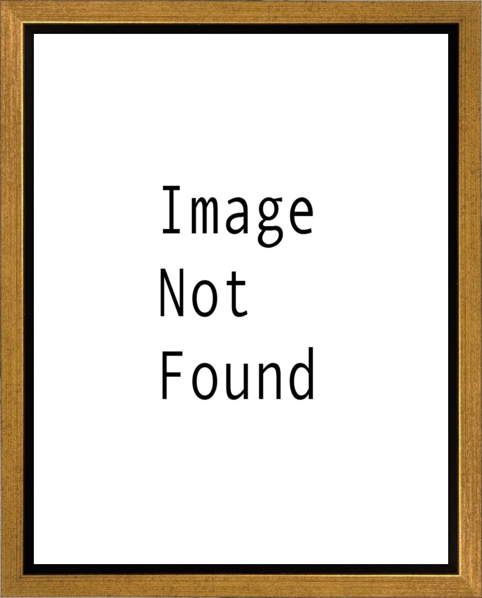 Sunrise Over Mt. Timpanogos, Utah