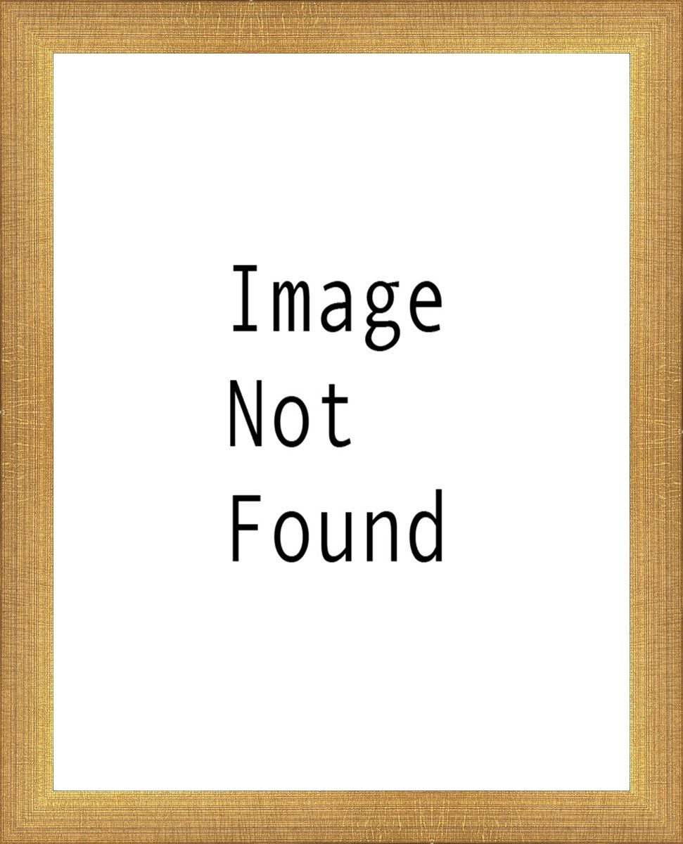 Sunrise Over Mt. Timpanogos, Utah