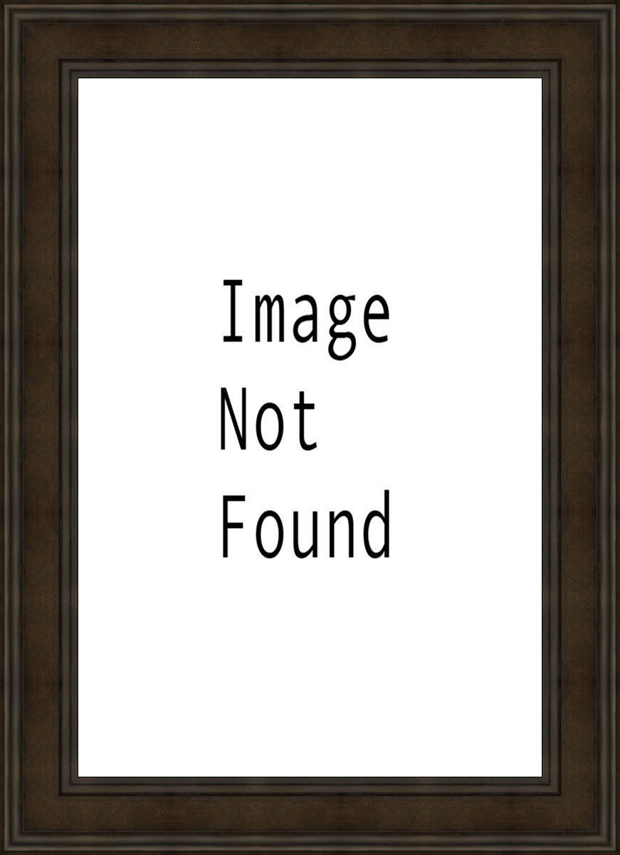 Sunrise Over Mt. Timpanogos, Utah