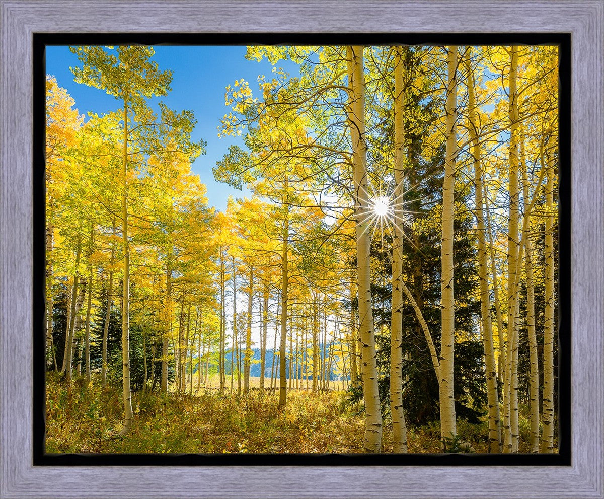 Autumn in the Rocky Mountains, Wasatch National Forest, Utah
