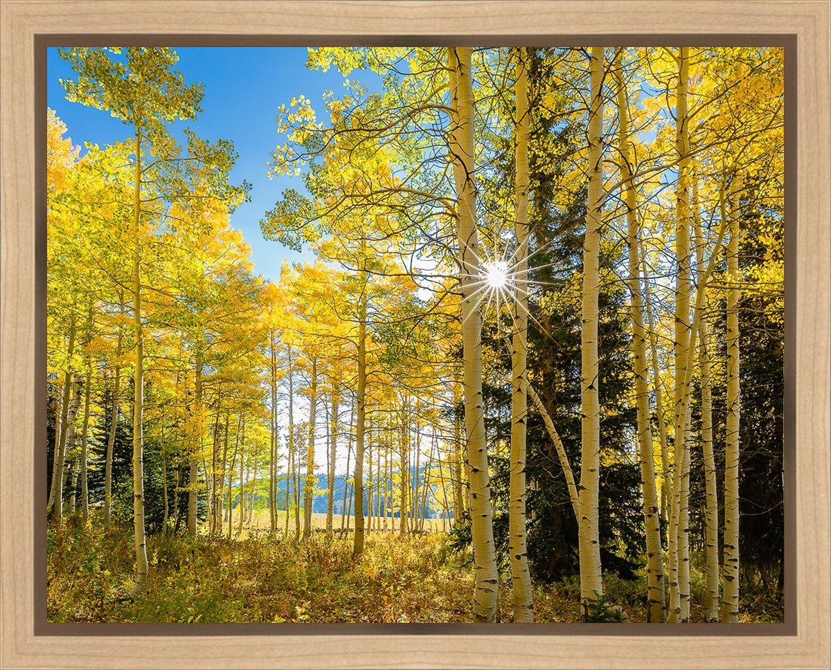 Autumn in the Rocky Mountains, Wasatch National Forest, Utah