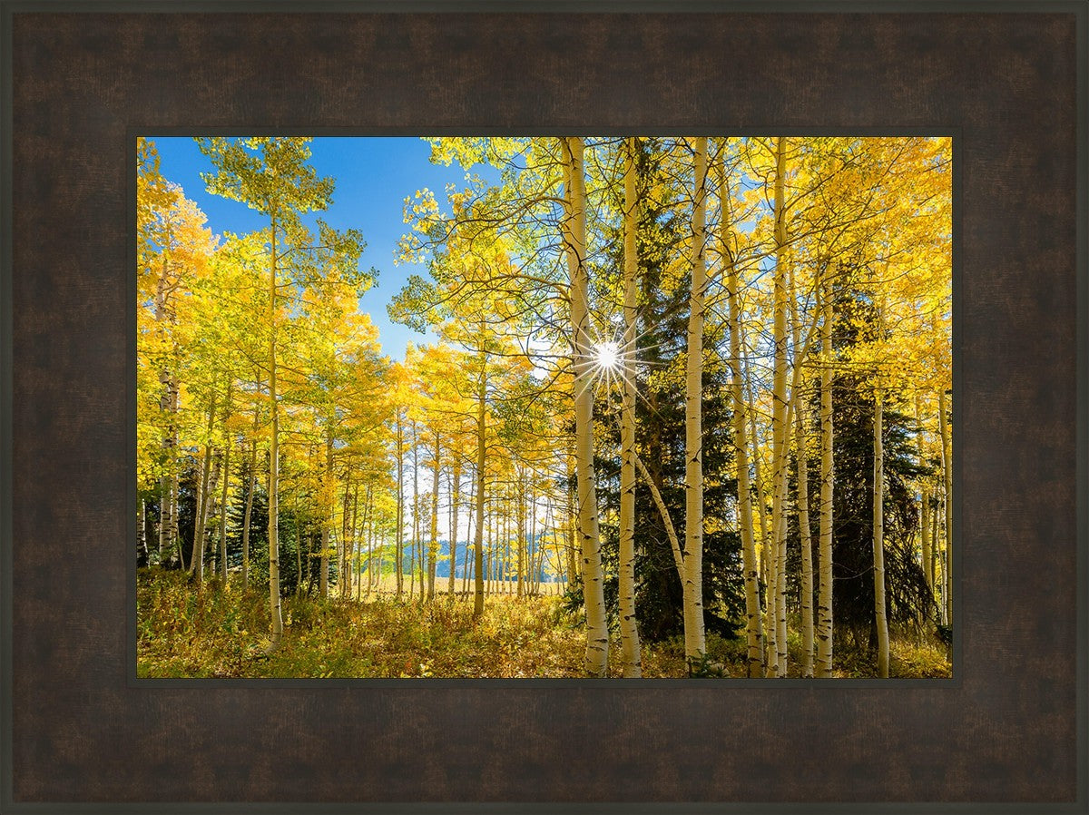 Autumn in the Rocky Mountains, Wasatch National Forest, Utah