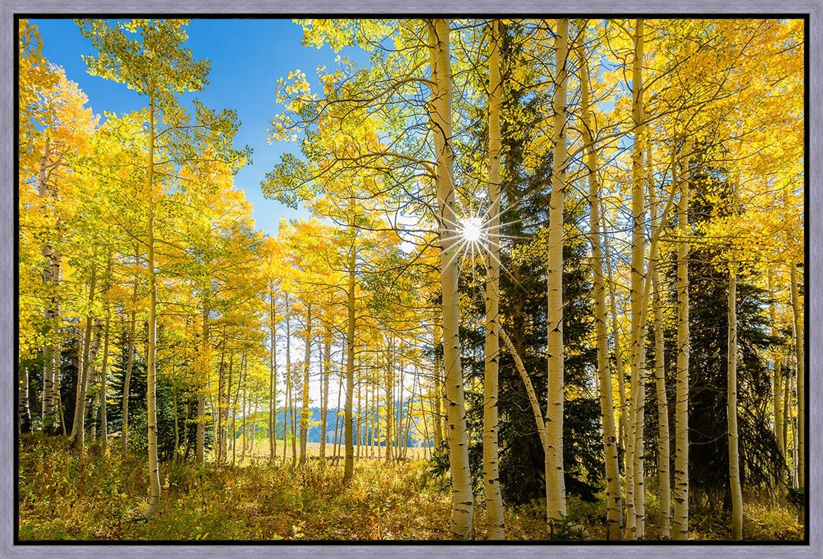 Autumn in the Rocky Mountains, Wasatch National Forest, Utah