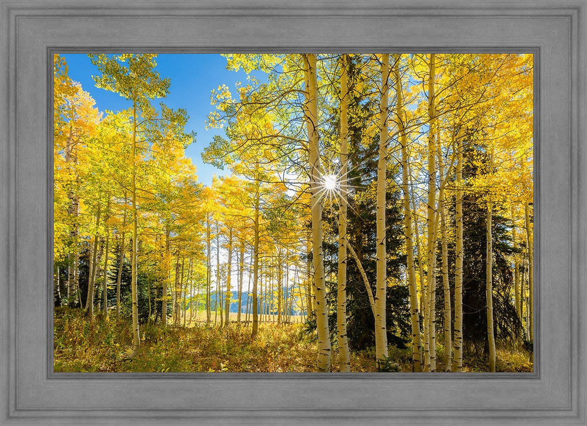 Autumn in the Rocky Mountains, Wasatch National Forest, Utah