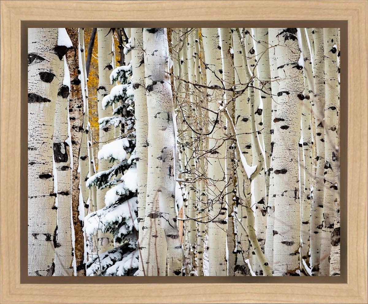 Christmas Around the Corner, Guardsman Pass, Park City, Utah