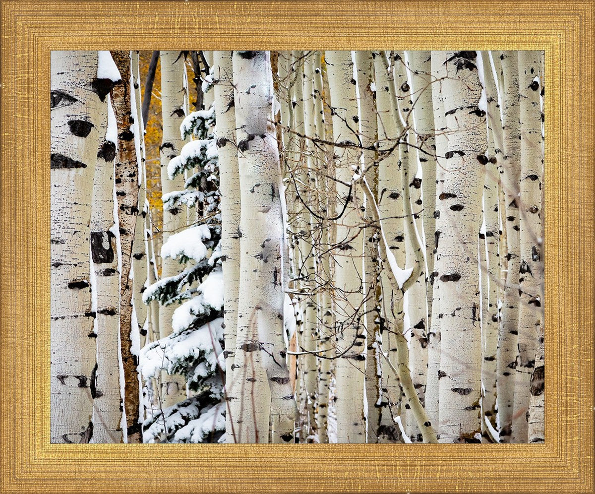 Christmas Around the Corner, Guardsman Pass, Park City, Utah