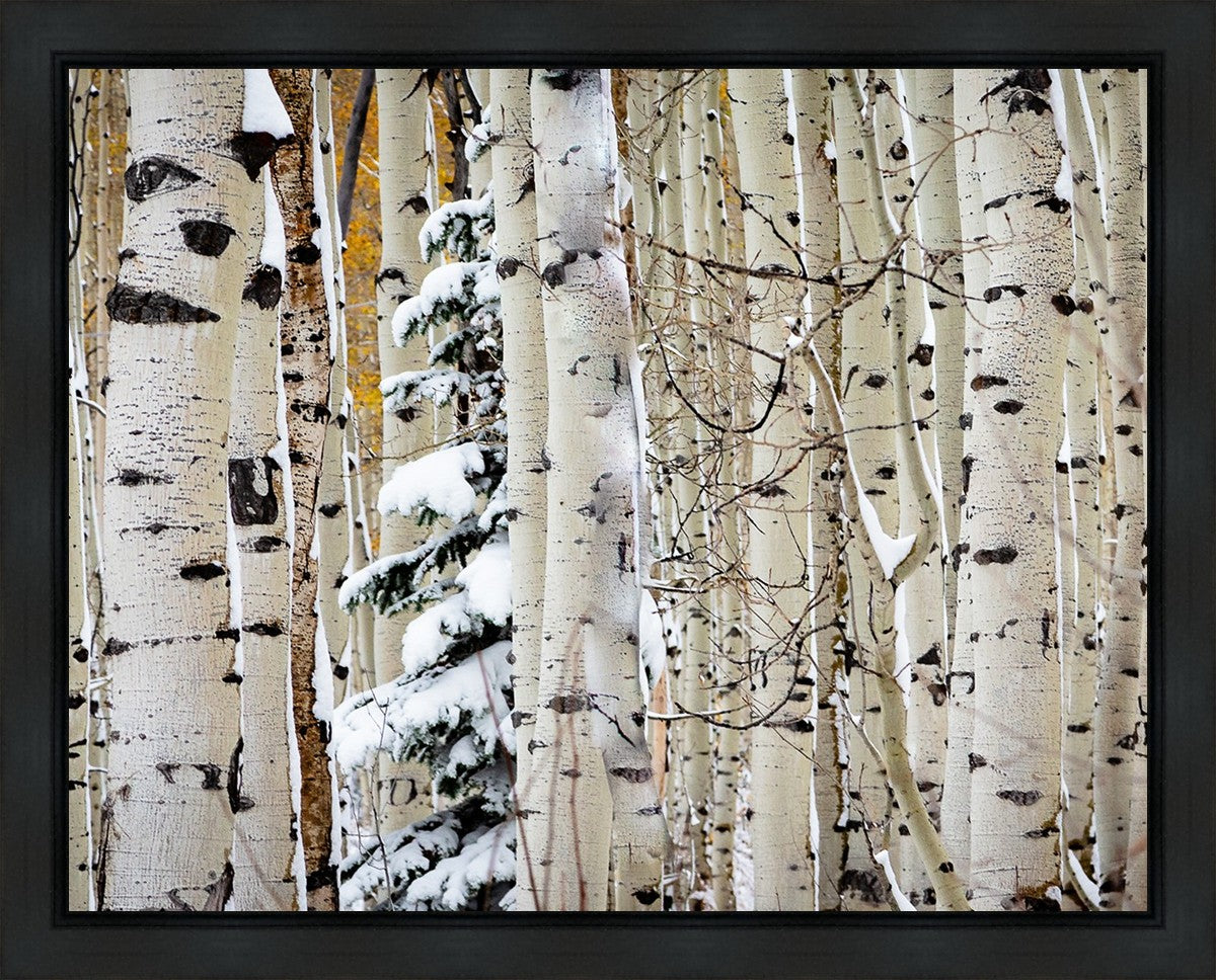 Christmas Around the Corner, Guardsman Pass, Park City, Utah