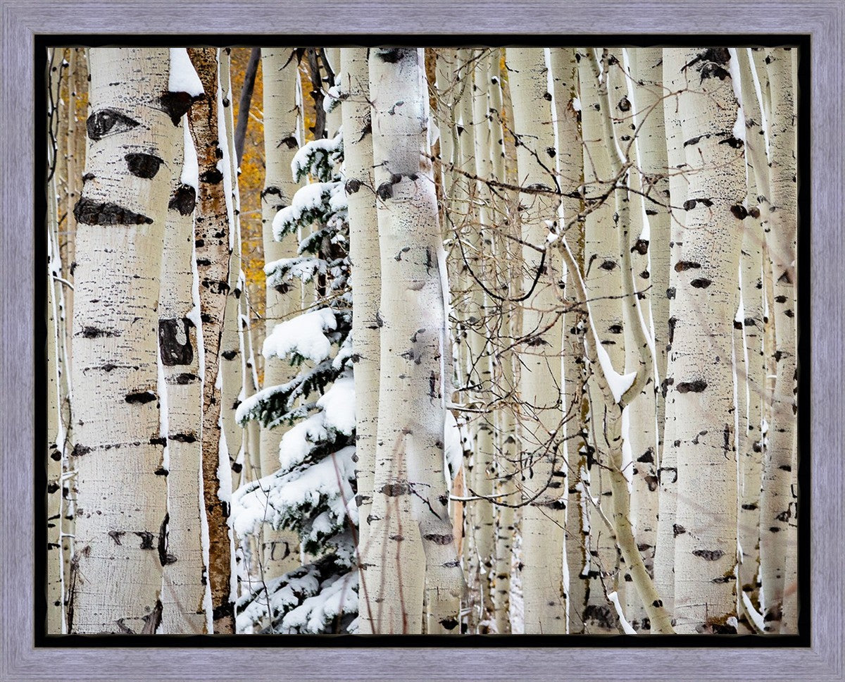 Christmas Around the Corner, Guardsman Pass, Park City, Utah