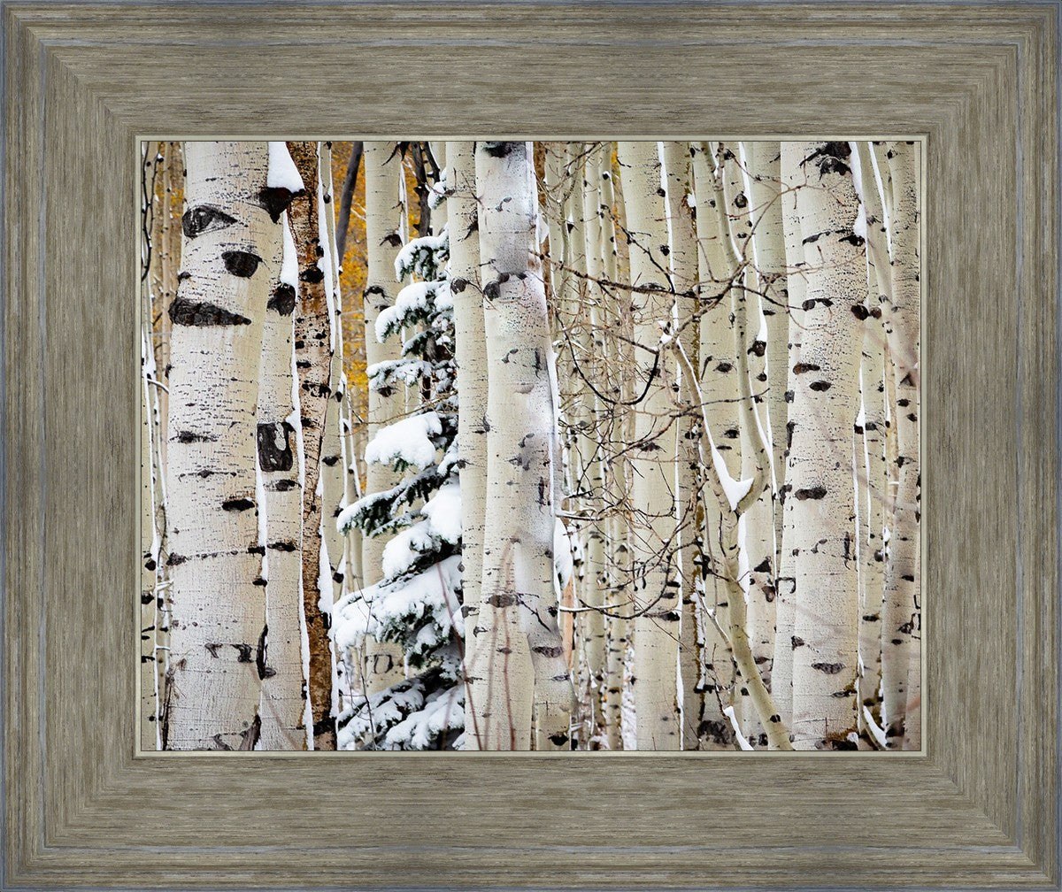 Christmas Around the Corner, Guardsman Pass, Park City, Utah