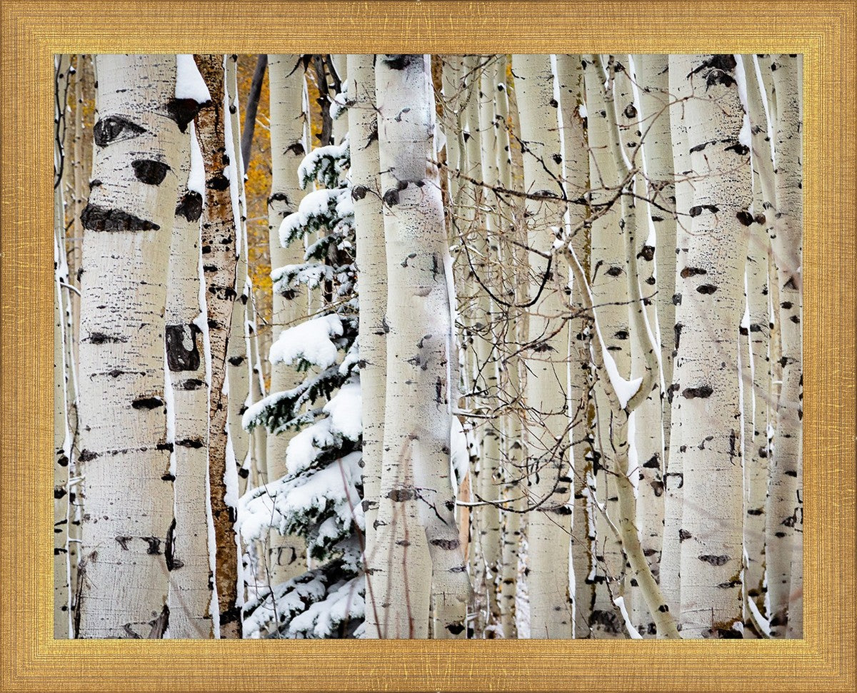 Christmas Around the Corner, Guardsman Pass, Park City, Utah