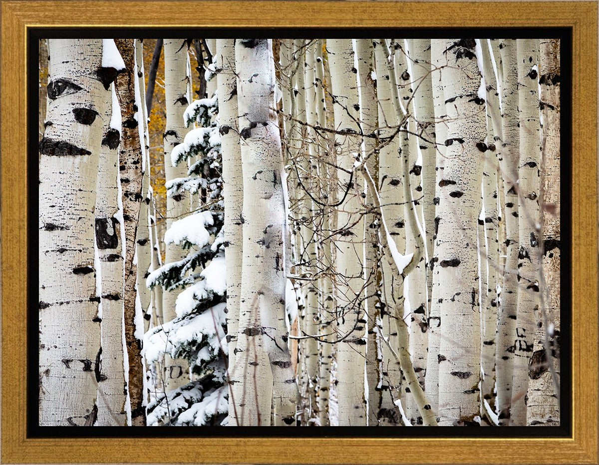 Christmas Around the Corner, Guardsman Pass, Park City, Utah