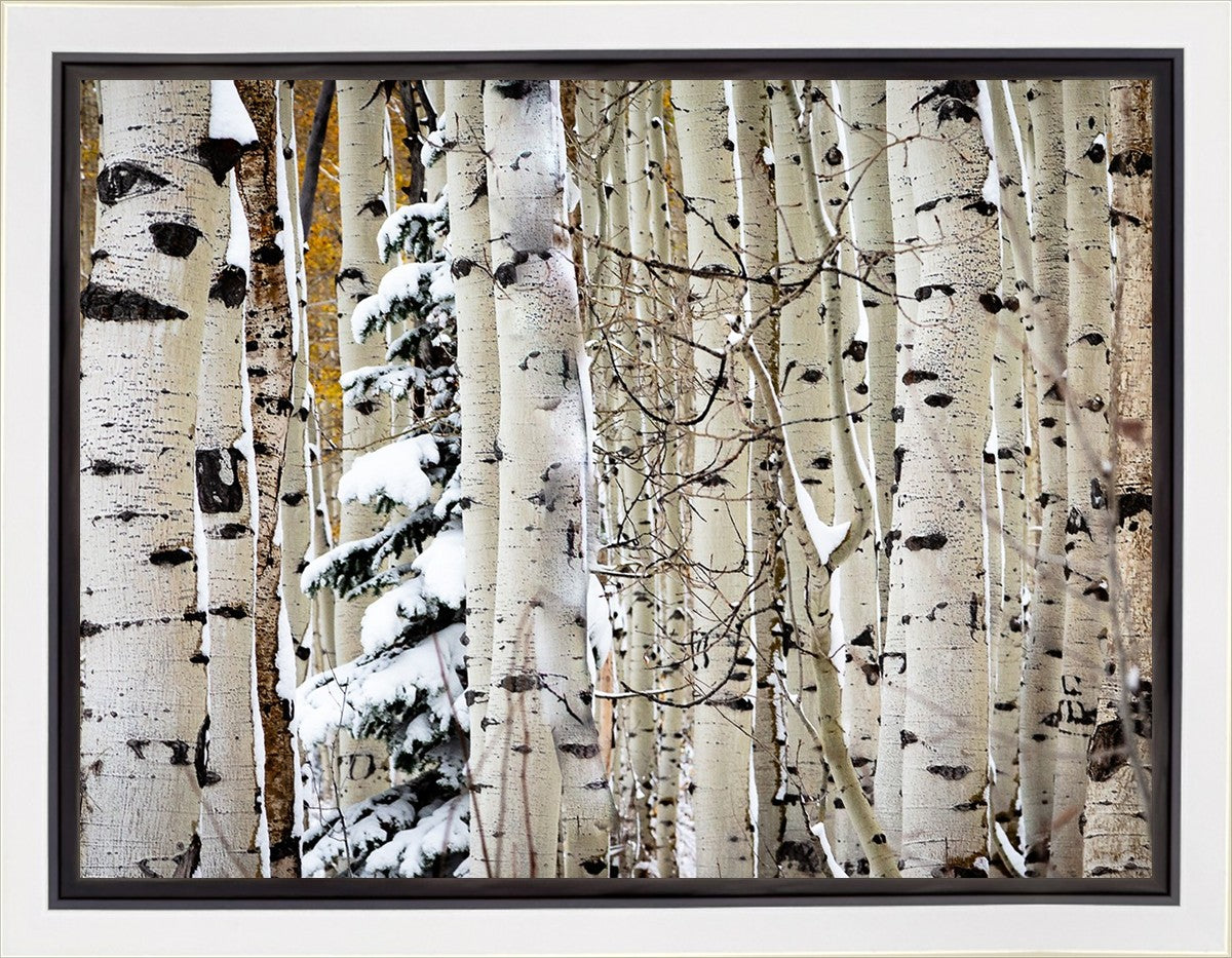 Christmas Around the Corner, Guardsman Pass, Park City, Utah