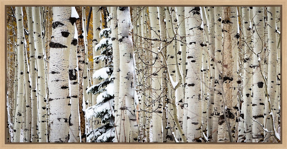 Christmas Around the Corner, Guardsman Pass, Park City, Utah