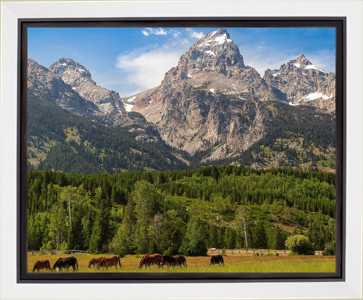 Panorama of Grand Teton Mountain Range, Wyoming