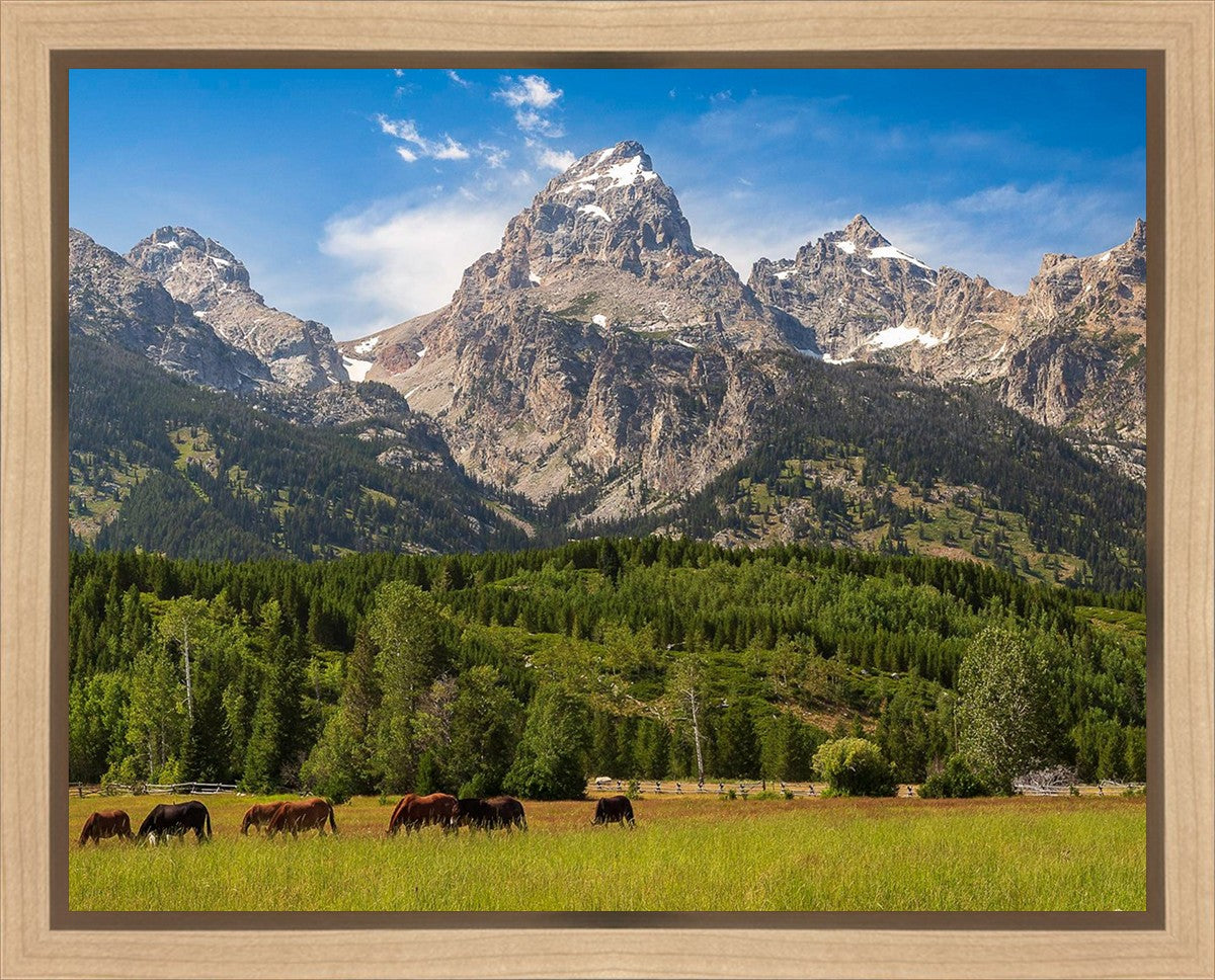 Panorama of Grand Teton Mountain Range, Wyoming