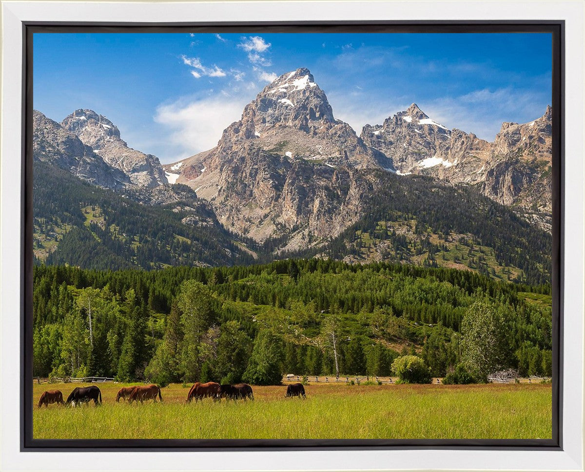 Panorama of Grand Teton Mountain Range, Wyoming