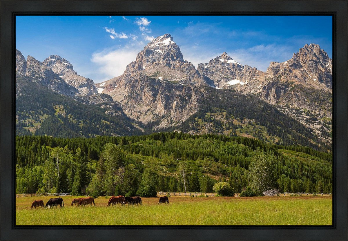 Panorama of Grand Teton Mountain Range, Wyoming