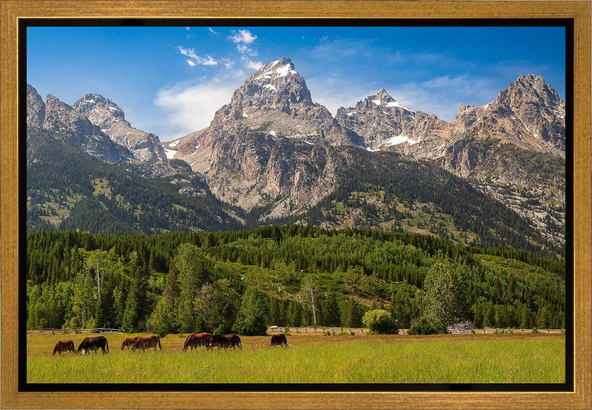 Panorama of Grand Teton Mountain Range, Wyoming