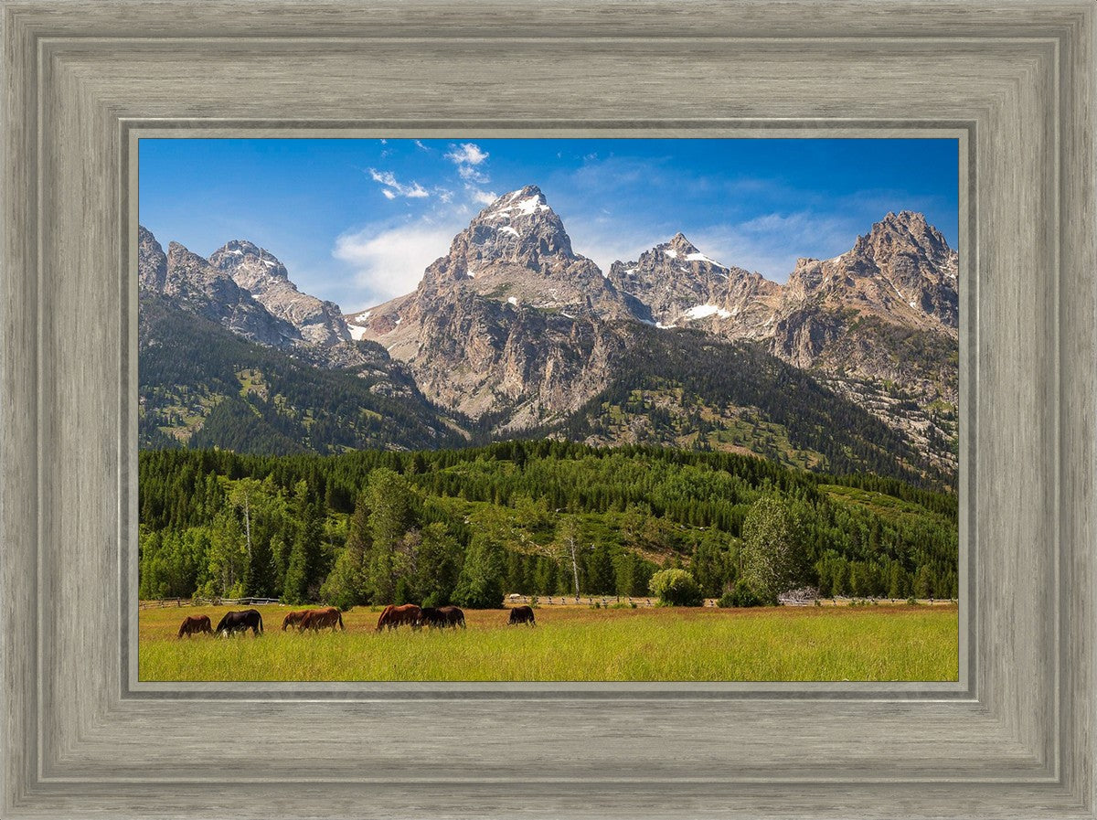 Panorama of Grand Teton Mountain Range, Wyoming