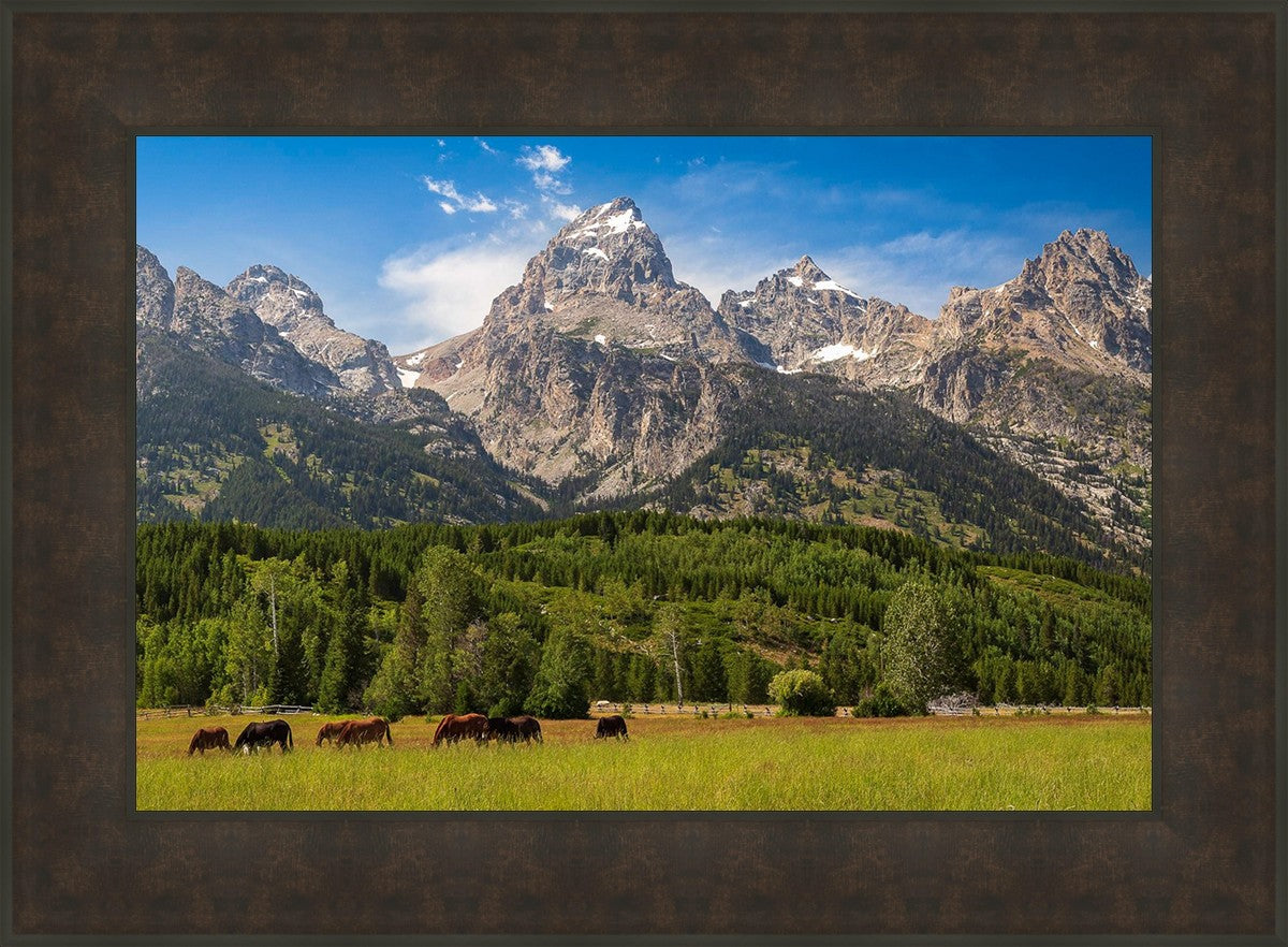 Panorama of Grand Teton Mountain Range, Wyoming