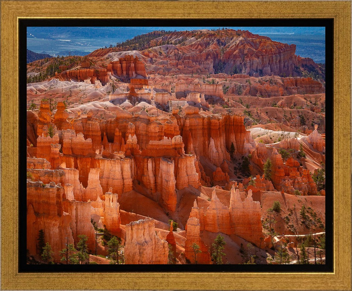 The Hoodoos of Bryce Canyon National Park, Utah
