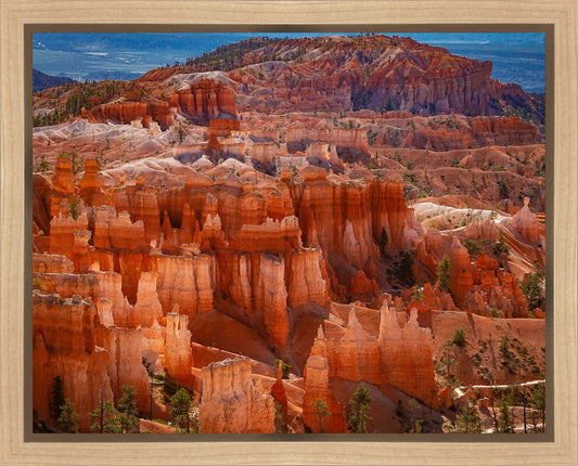 The Hoodoos of Bryce Canyon National Park, Utah
