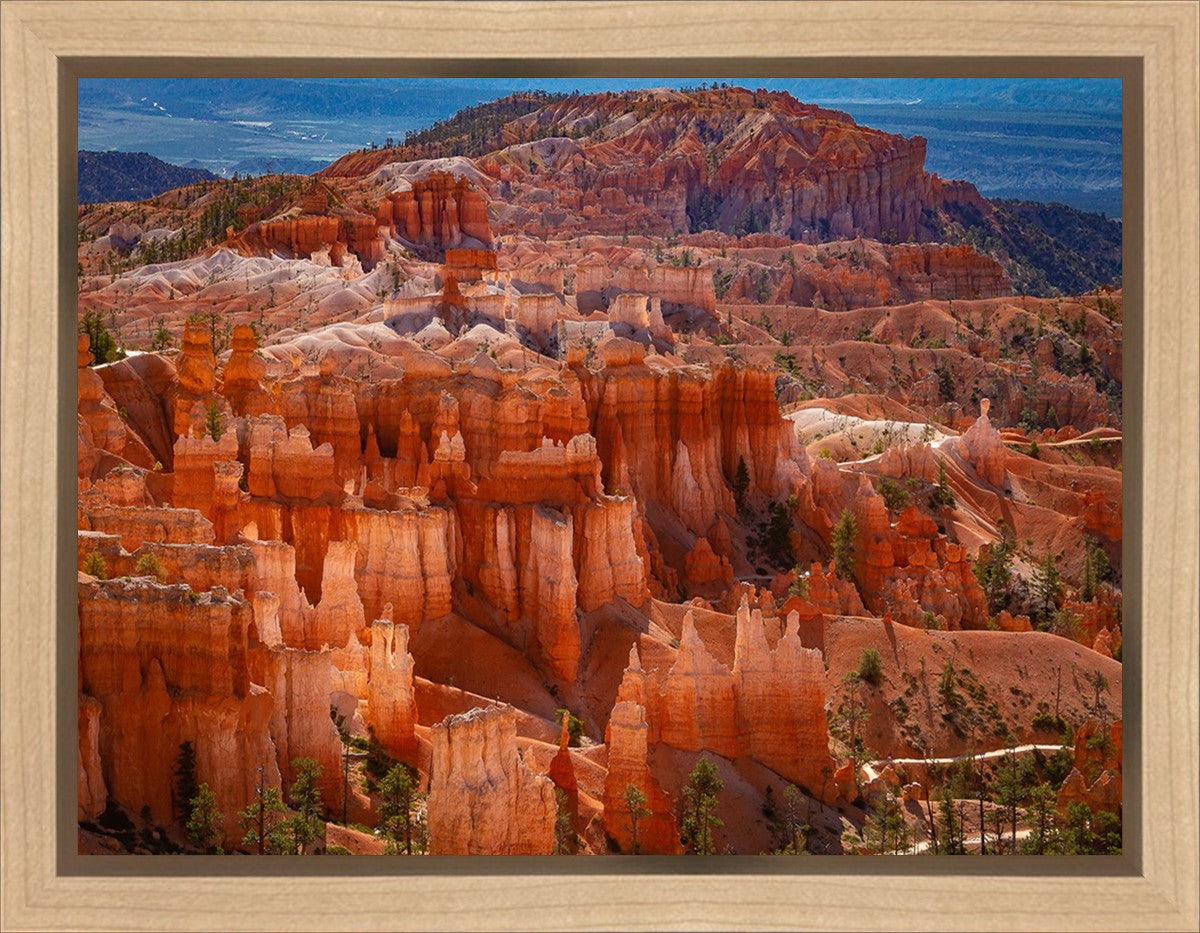 The Hoodoos of Bryce Canyon National Park, Utah