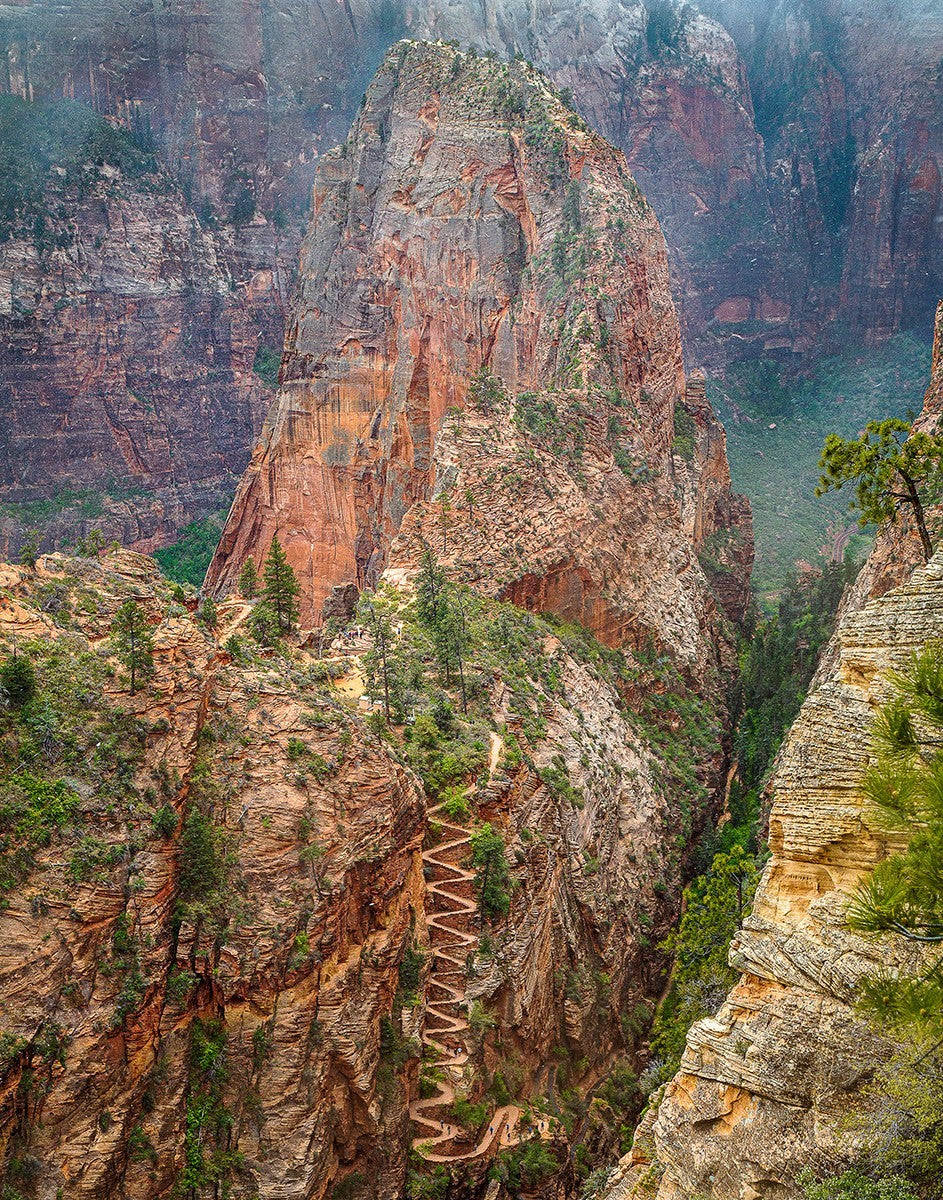 Walter Wiggles Angels Landing Zion National Park Utah by Julie