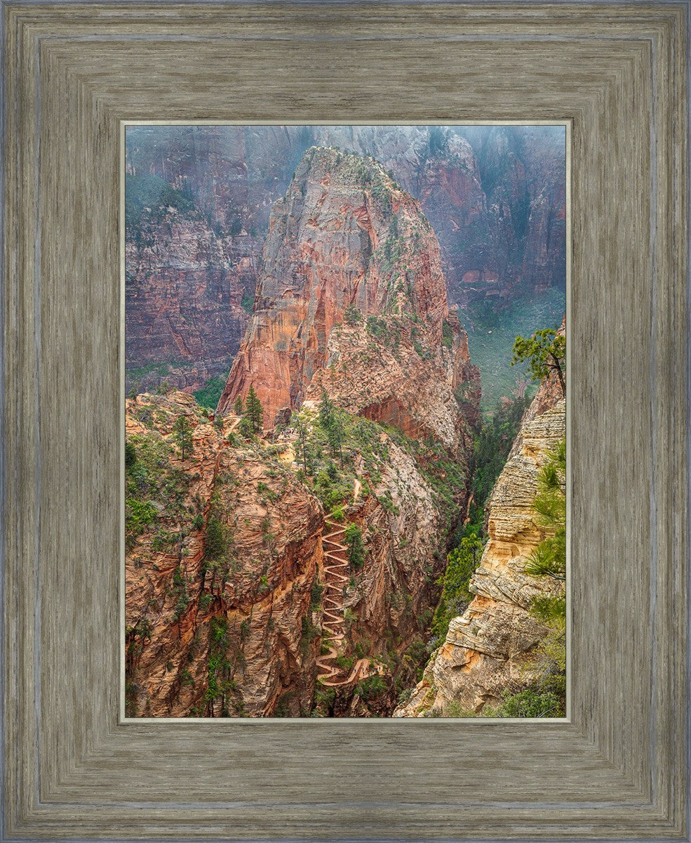 Walter Wiggles Angels Landing Zion National Park Utah by Julie