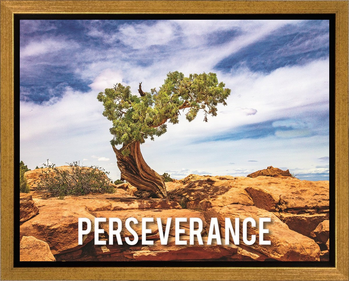 Perseverance Motivisional Poster
