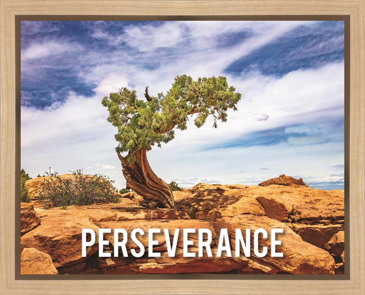Perseverance Motivisional Poster