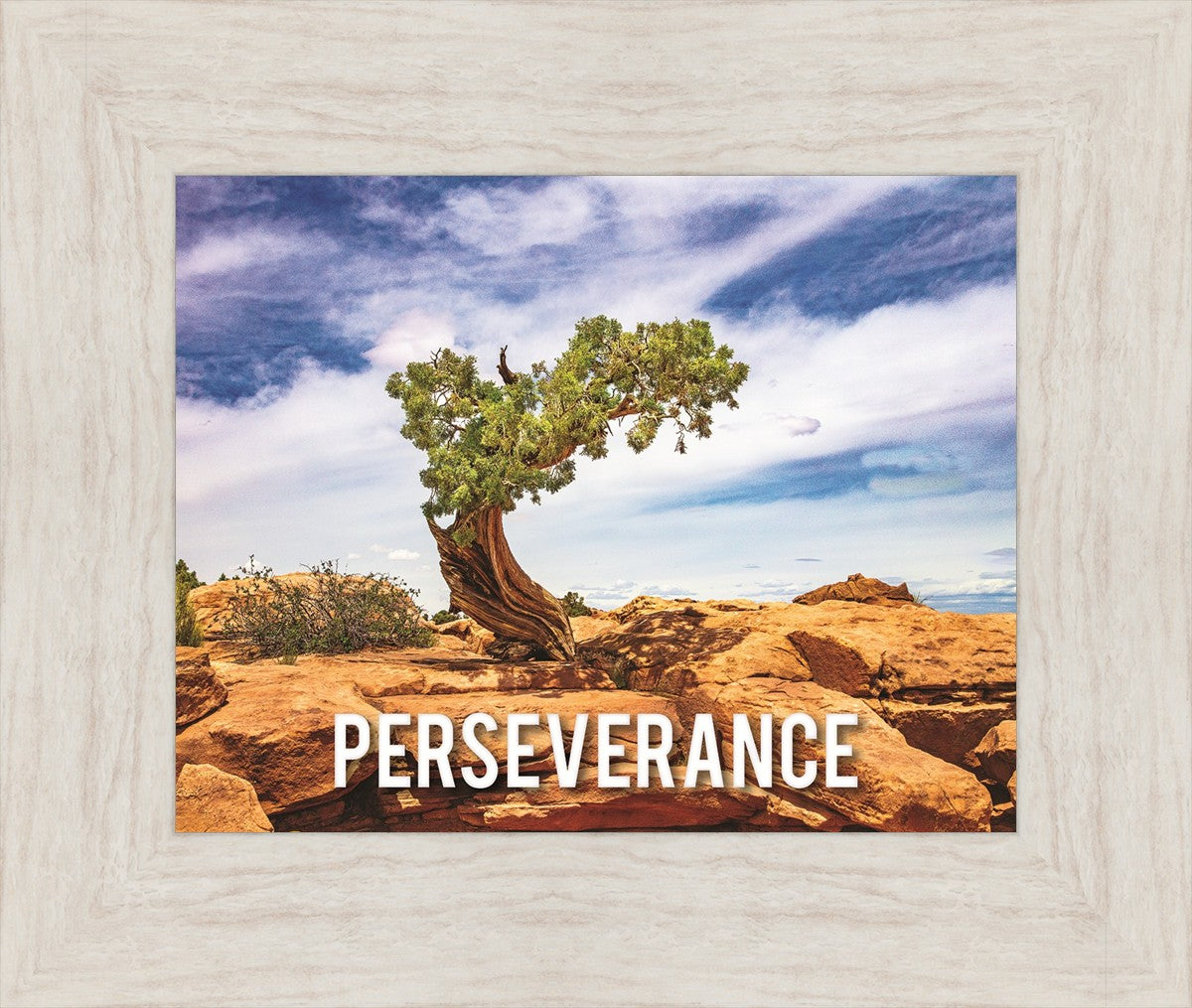 Perseverance Motivisional Poster