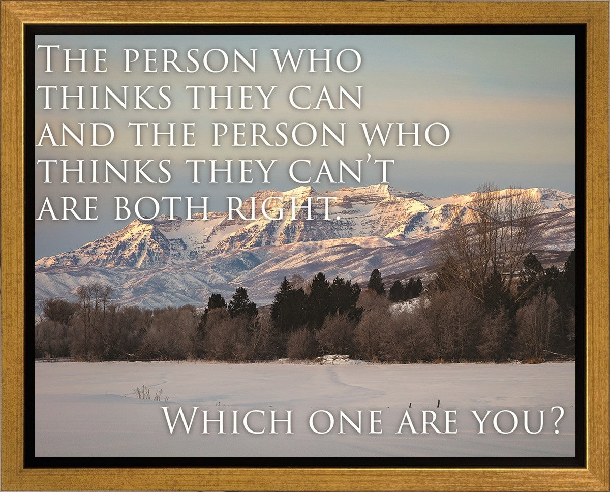 Who Thinks They Can Motivisional Poster