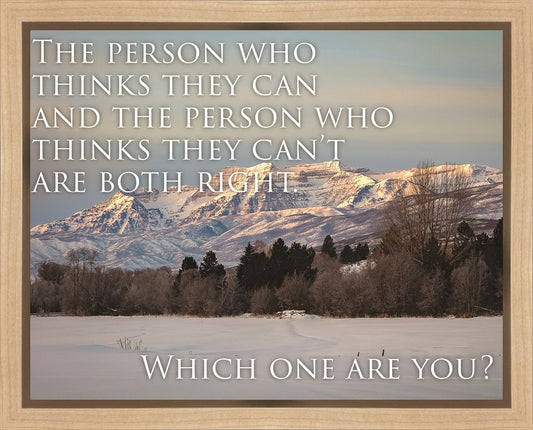 Who Thinks They Can Motivisional Poster
