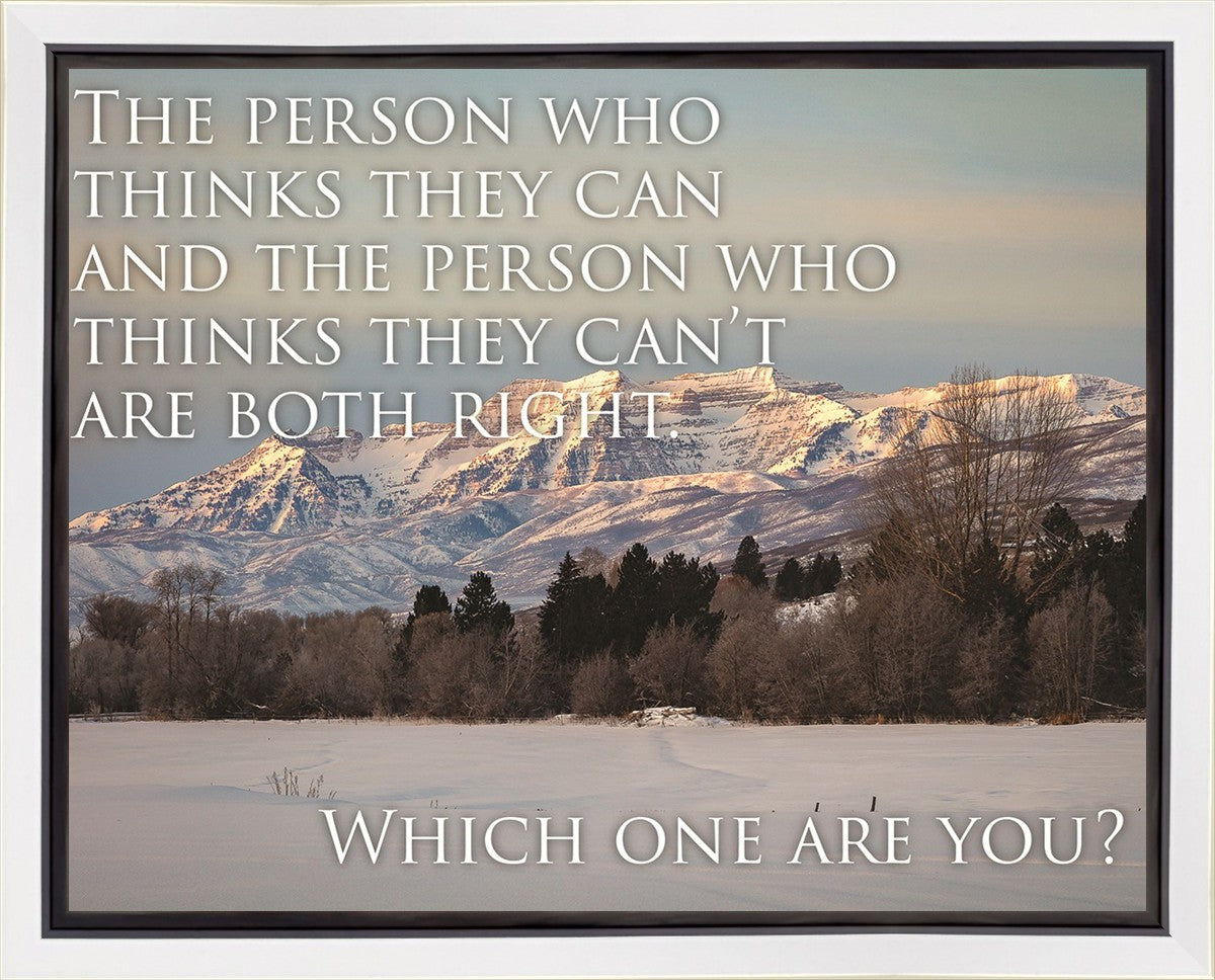 Who Thinks They Can Motivisional Poster