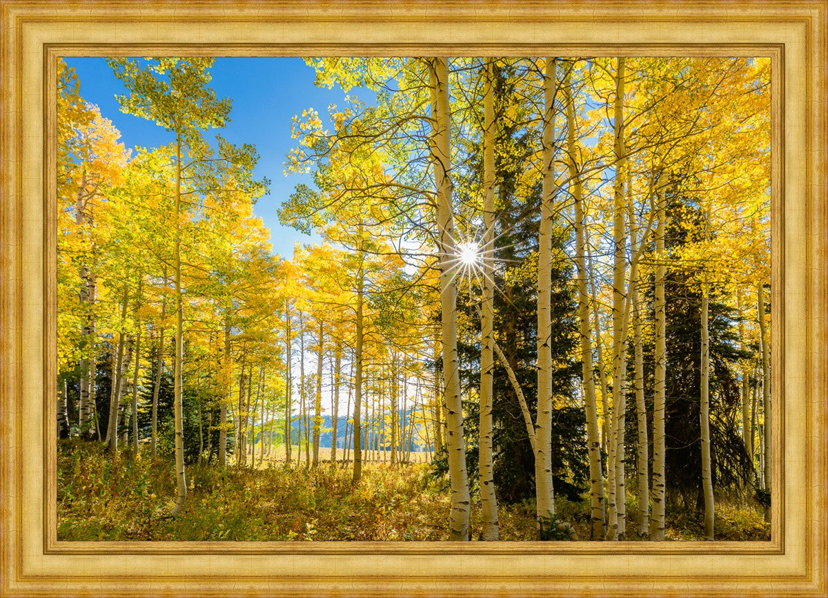 Autumn in the Rocky Mountains, Wasatch National Forest, Utah